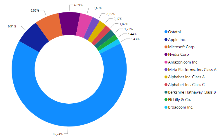 Top 10 S&P 500 společností