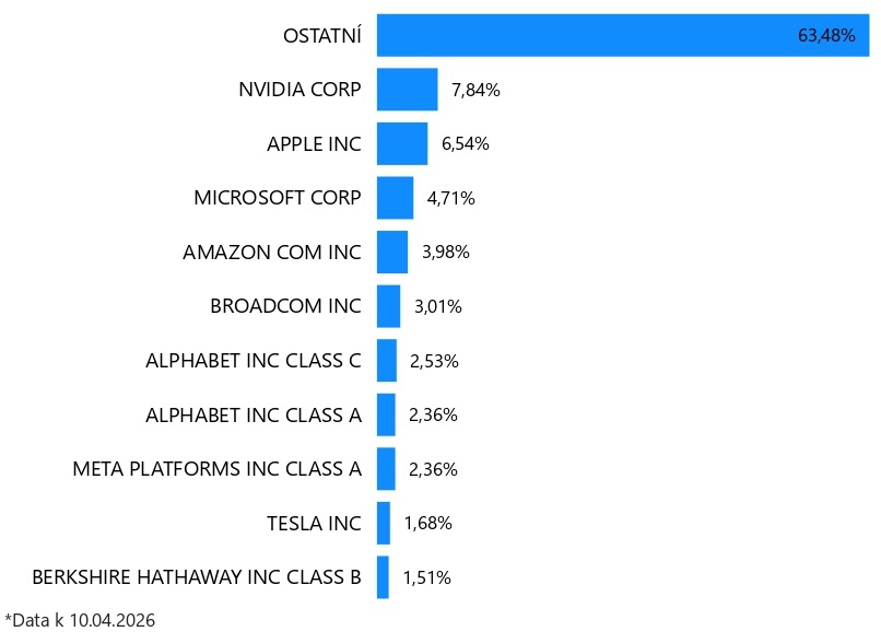 Top 10 S&P 500 společností